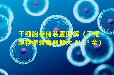 干细胞存储装置图解（干细胞存储装置图解大 💮 全）